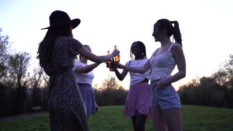 Company-of-multiracial-female-friends-clinking-bottles-in-park-at-sunset