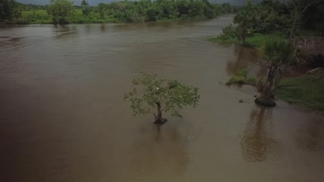 Vista-Aérea-De-Una-Canoa-Indígena-Que-Llega-A-Un-Pueblo-En-El-Río-Orinoco-Entre-Manglares-En-La-Selva-Tropical