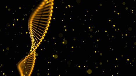 animación 3d de hebras de adn de color dorado retorcidas con partículas flotantes sobre fondo negro