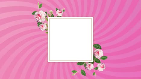 white square with leaves and flowers over rotating pink stripes