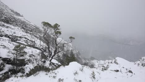 Timelapse-of-blizzard-on-snowy-mountain-and-pine-forest,-Torridon,-Scotland