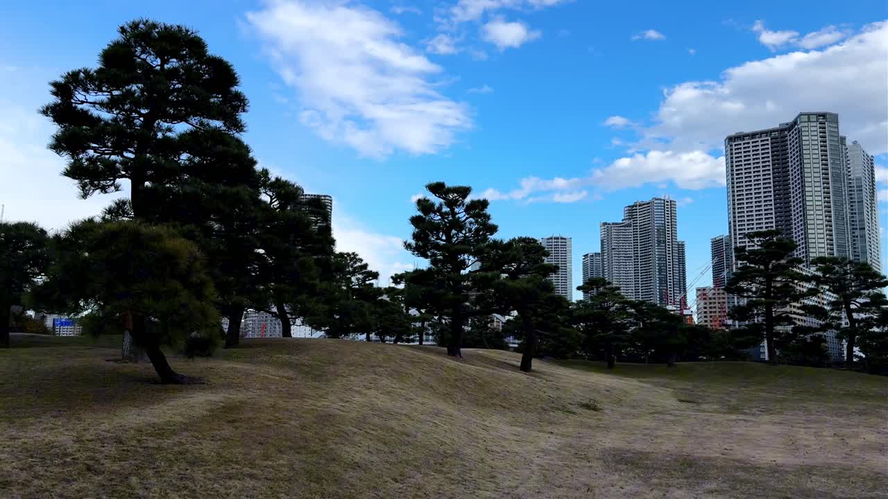 una vista serena de los jardines de hama rikyu mezclando árboles y rascacielos bajo un cielo azul