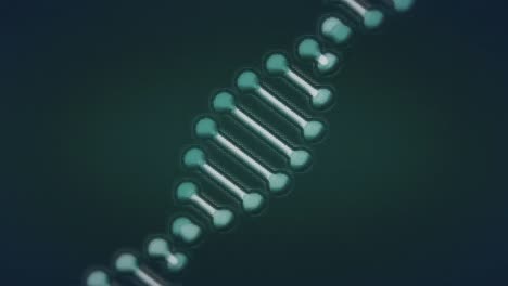 animación de la cadena de adn sobre una red de conexiones sobre un fondo negro