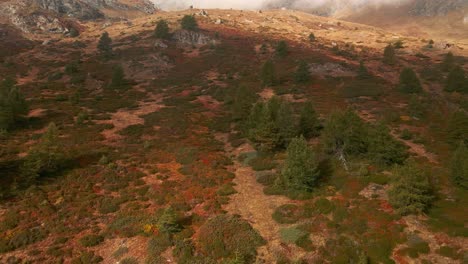 llanuras sobre las montañas con bosques de coníferas y rocas durante el otoño en piemonte, italia