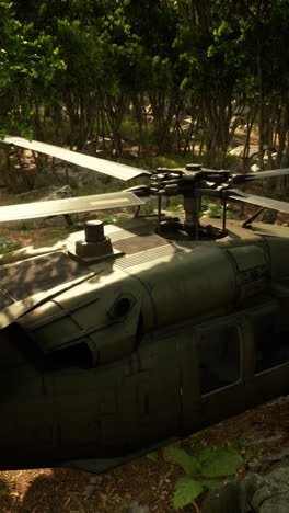 black hawk helicopter landing in a forest