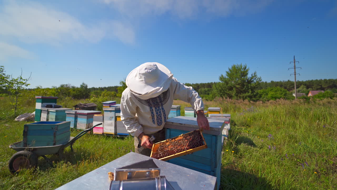Beekeeper in protective hat. Apiarist inspects frame with bees and talks about their work. Apiary in countryside. Apiculture concept.