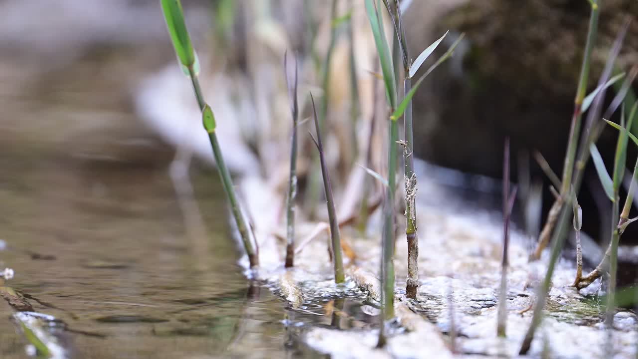 물의 흐름에서 바위에 은색을 는 은 물