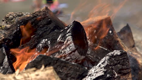 slow motion of firewood burning at the beach