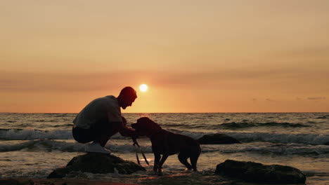 man and dog silhouettes on a beach at sunset