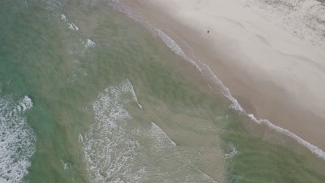 Foamy-Sea-Waves-Splashing-Sandy-Shore-In-Palm-Beach,-Gold-Coast,-Australia---aerial-drone-shot