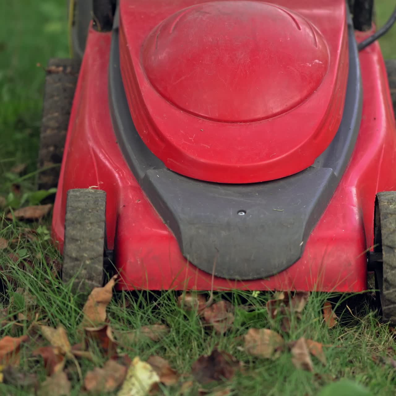 정원에서 잔디 깍는 기계