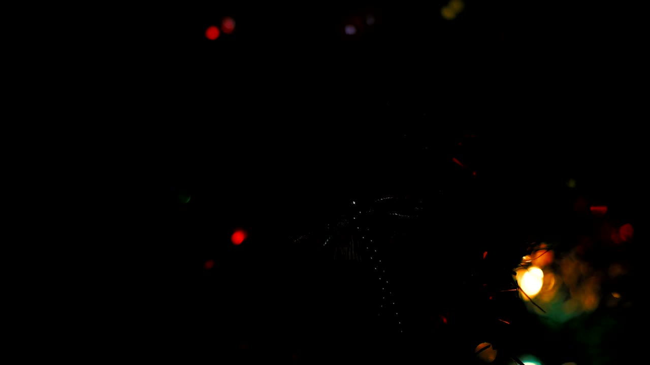 Christmas tree and Christmas lights, Merry Christmas and Happy Holidays, decorated Christmas tree