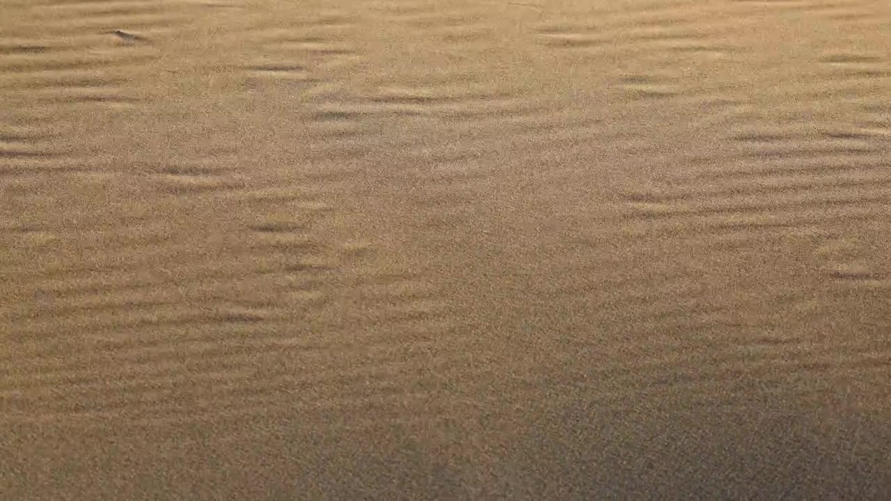 Close-up View of Rippled Golden Sand Texture