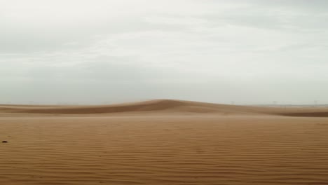 paisaje desértico bajo un cielo nublado