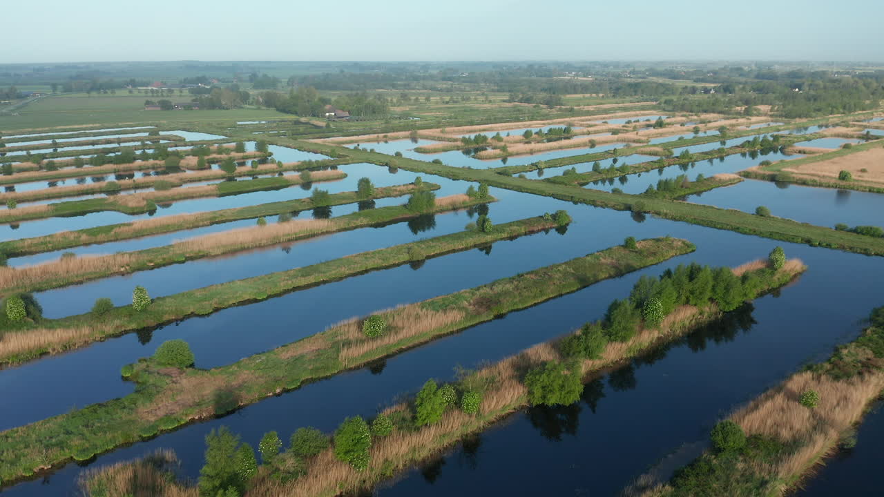 Sorvolando l'area dei polder a Weerribben, a Ossenzijl, Frisia, Paesi Bassi