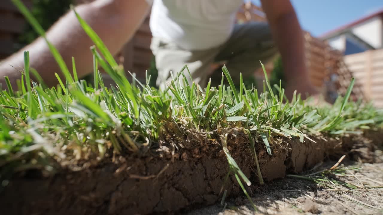 hombre colocando césped en el jardín del patio trasero para la instalación de césped y proyecto de jardinería, centrado en la mejora del hogar y el mantenimiento al aire libre para un césped fresco y verde en un patio residencial