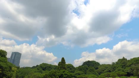 Blick-Auf-Wolken-Und-Bäume-Im-Yoyogi-Park