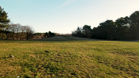 Drone-fly-rise-above-the-green-meadow-grass-in-residential-park-area-with-bird-flying-away