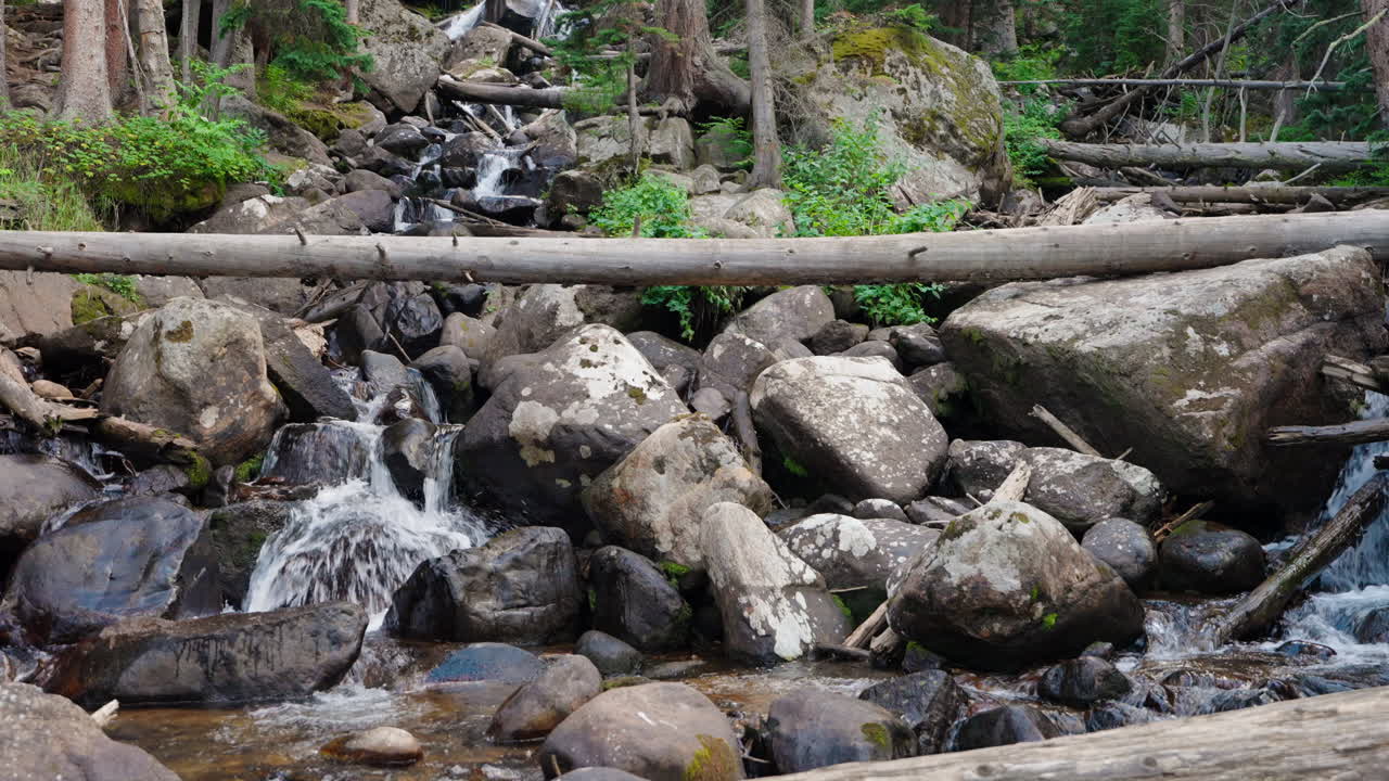 Air terjun hutan yang deras mengalir melalui pepohonan lebat di lingkungan alami yang damai
