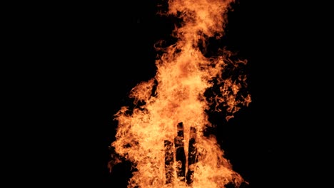 big bonfire burns at night in slow motion on a black background on nature