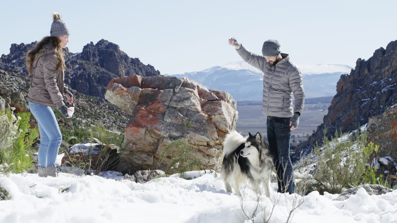 겨울잠을 잊고 밖으로 나가서 즐거운 시간을 보내세요
