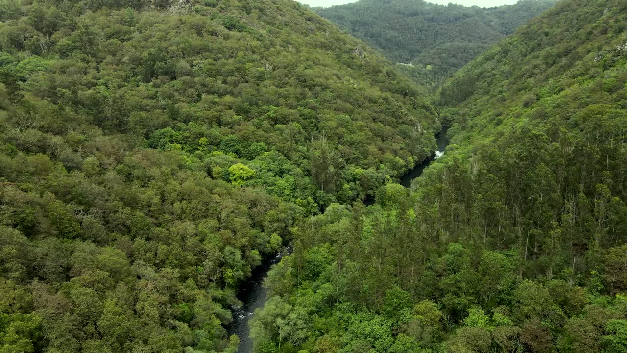 vista aérea en 4k del corazón del parque natural de fragas do eume en galicia