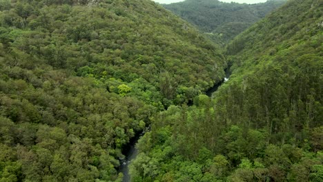 4k aerial view of the heart of fragas do eume natural park in galicia