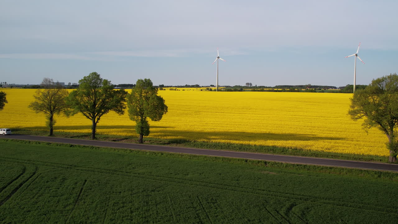 hermoso largo viaje por carretera cerca de campos de canola con turbinas eólicas