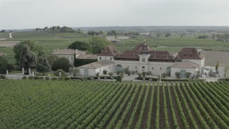 fast drone flying over vineyards, château angelus winery in saint-émilion, bordeaux, france. aerial