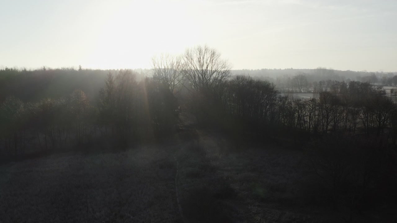 early morning winter landscape with trees and frost-covered fields, camera is rising high, rays of sunshine and backlight, very scenic