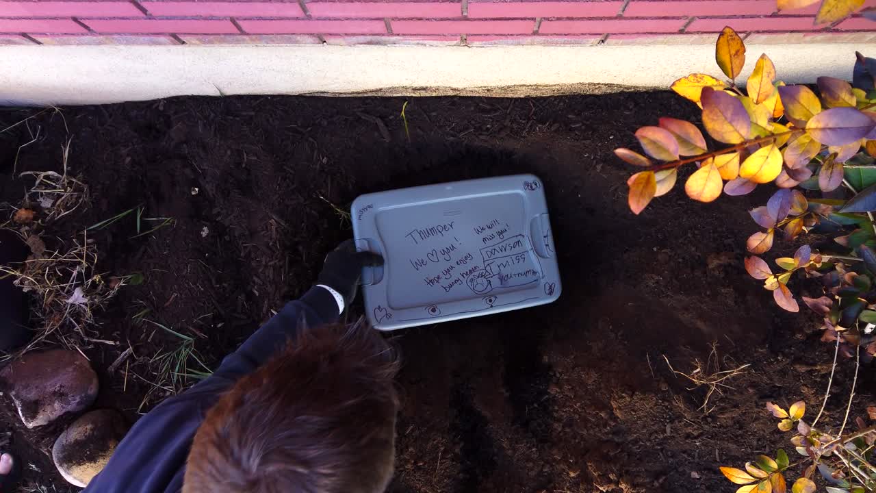 Digging and measuring a dead house pet’s grave and hole in a flower garden