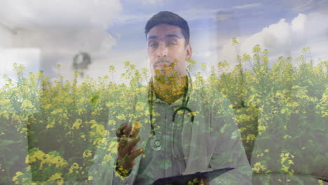 in field of yellow flowers, doctor with stethoscope observing under blue sky
