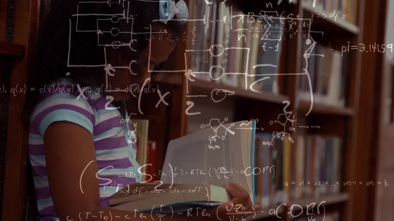 animación de ecuaciones, conexiones y procesamiento de datos sobre la lectura de las escolares