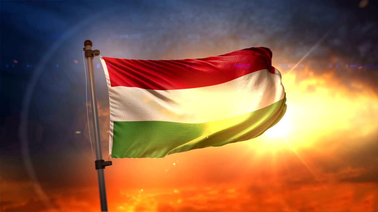 가리 발이 뒷빛으로 빛나는 아름다운 해가 뜨는 순환 속도 느린 모션 4k