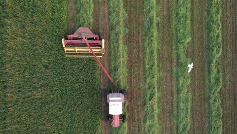 Using-a-hyrdoswing-swather,-a-Wisconsin-farmer-cuts-a-field-of-alfalfa-and-grass