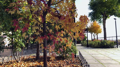 Herrliche-Herbstfarben