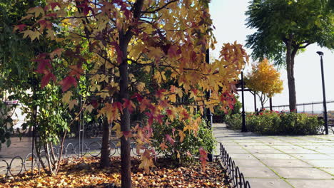 magnificent autumn colors