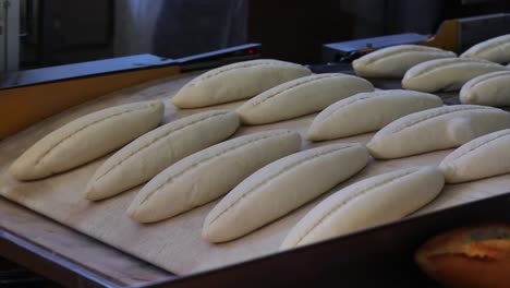 sequential breads going into dough baking