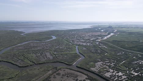 Umfassende-Drohnenansicht-Der-Gewundenen-Nebenflüsse-In-Der-Ria-Von-Aveiro,-Portugal