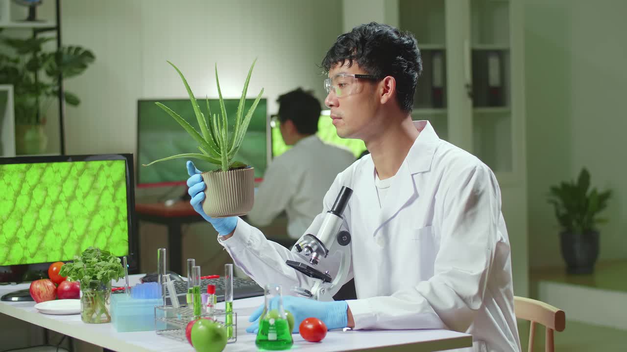 Asian Man Researcher Looking At Aloe Vera. Scientist Observing Genetic Mutation On Plants, Working In Agriculture Laboratory