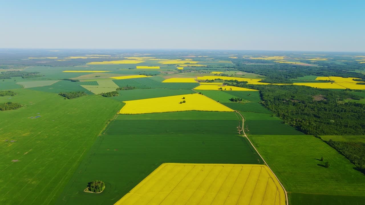 Colorful rapeseed and green crops form visual patterns as drone slowly descends