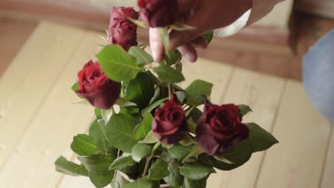 elegir una sola rosa roja de un ramo de rosas rojas en un jarrón