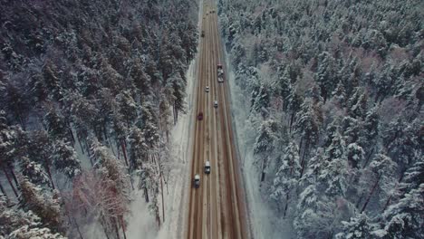 Snowy Forest Road with Cars and Trucks