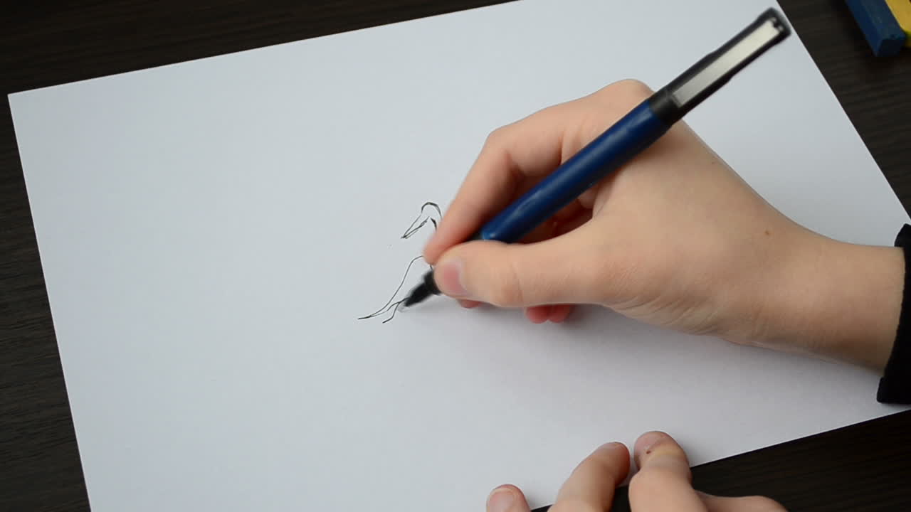Disegniamo un airone nel cielo. Processo di disegno.