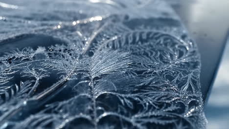 intricate frost patterns on a window
