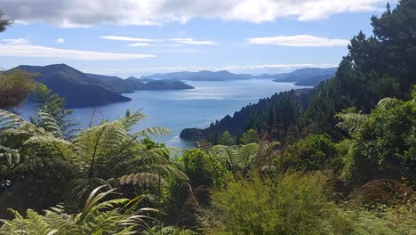 a view of the queen charlotte sounds in the south island of new zealand