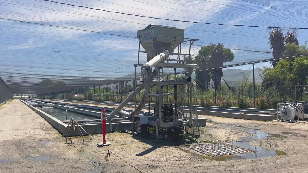 el criadero de peces de fillmore en fillmore, california