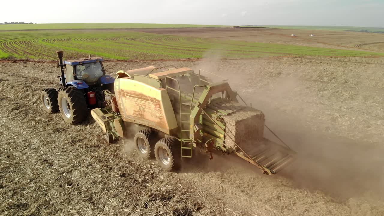 Sugar cane straw baler working in the field after harvesting the crop