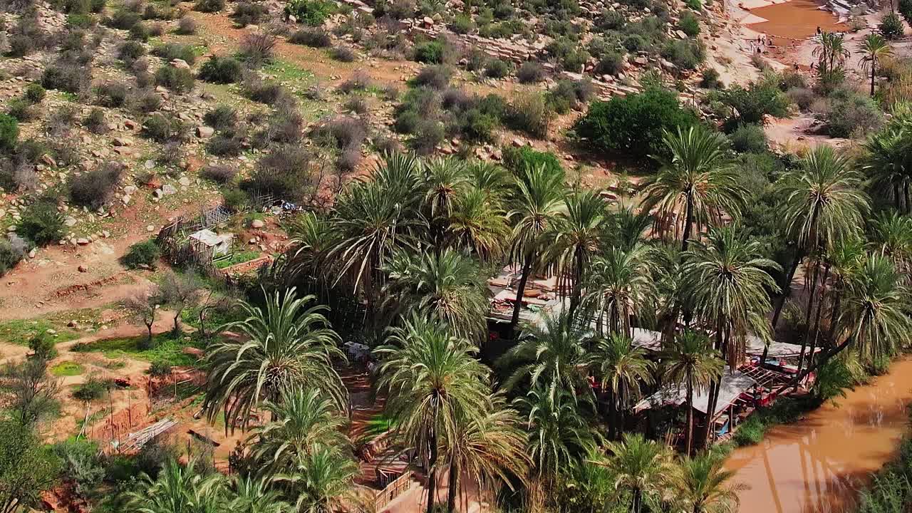 Vista aerea di palme rigogliose su terreno sabbioso in Marocco