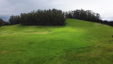 vuelo de descenso aéreo sobre un hermoso paisaje natural y verde